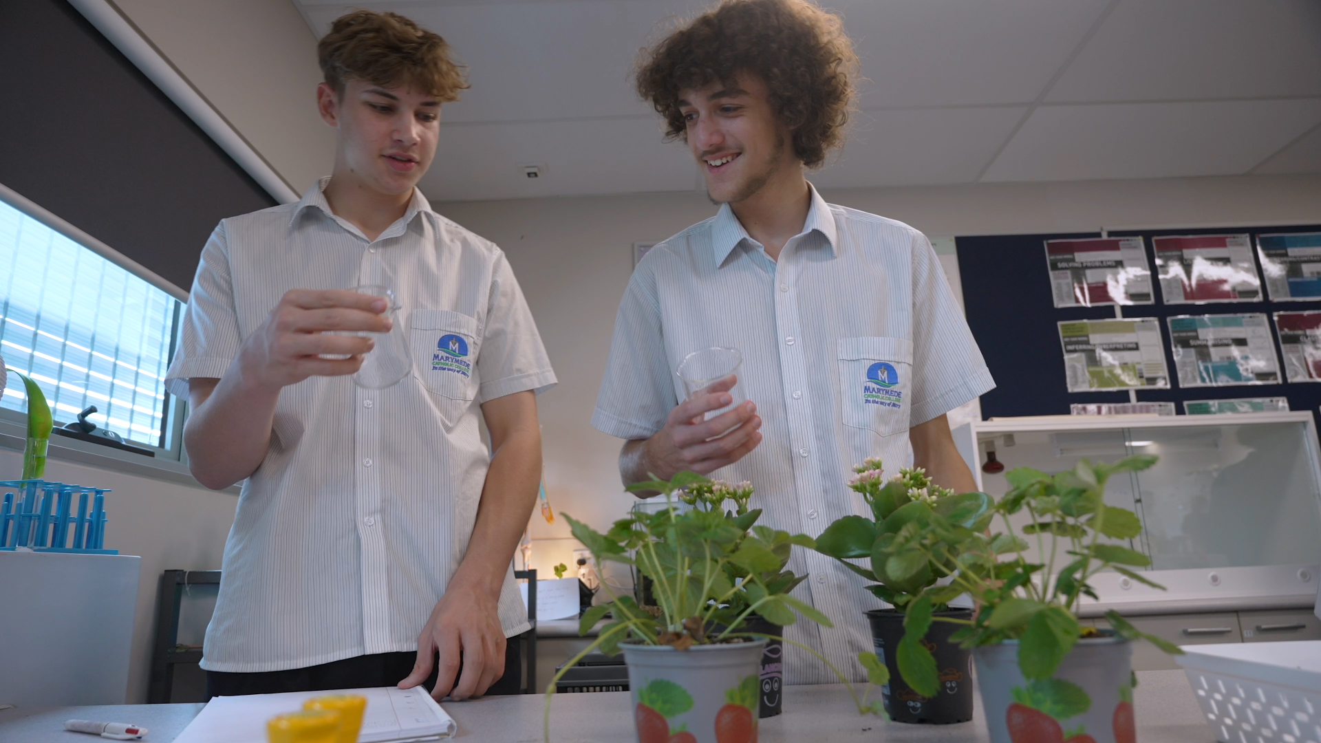 Marymede College